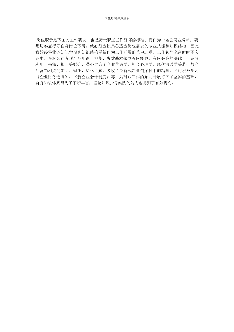 公司业务员2024年终总结范文-最新范文_第2页