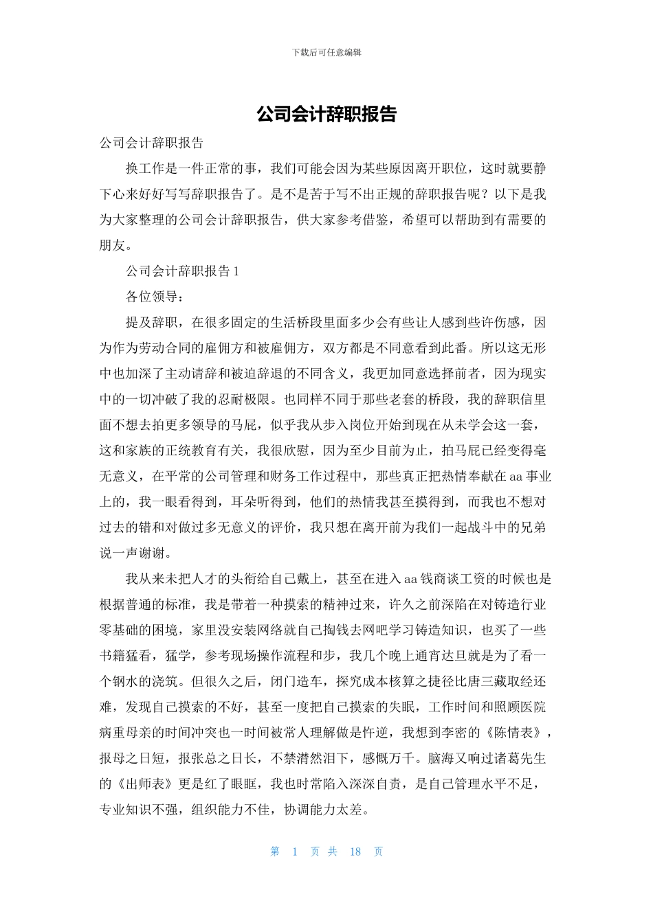 公司会计辞职报告_第1页