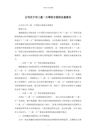 公司关于对三重一大等四方面的自查报告