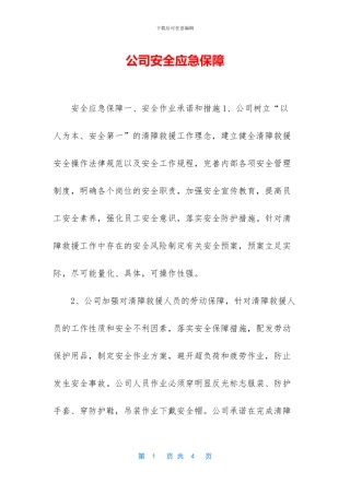 公司安全应急保障