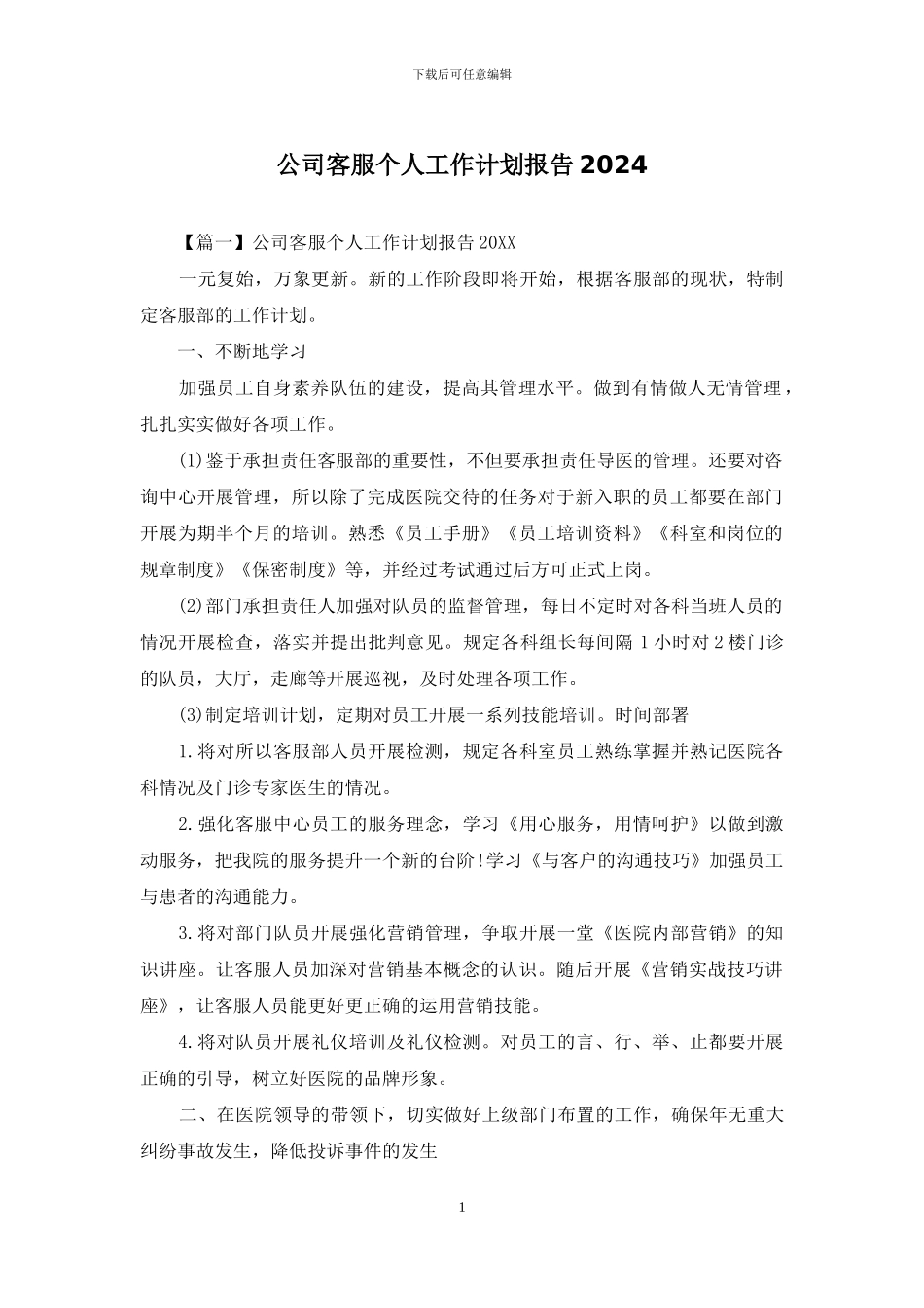 公司客服个人工作计划报告2024_第1页