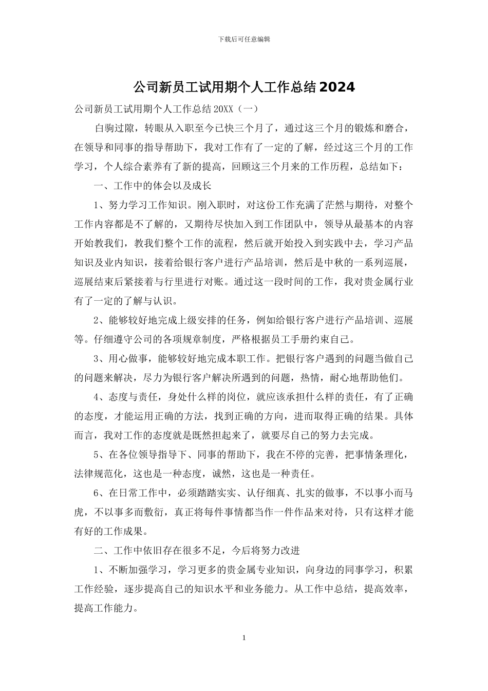 公司新员工试用期个人工作总结2024_第1页