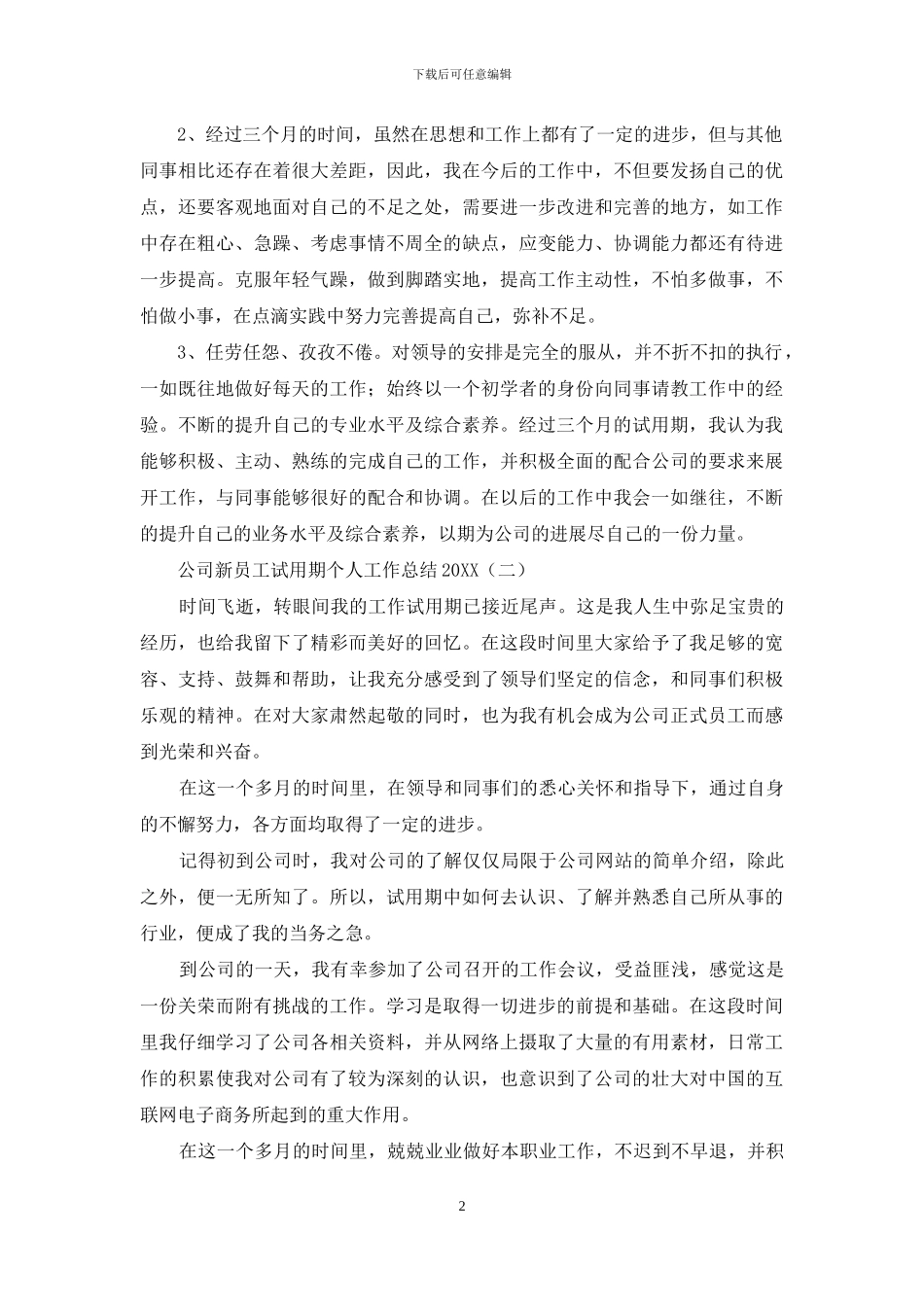 公司新员工试用期个人工作总结2024_第2页