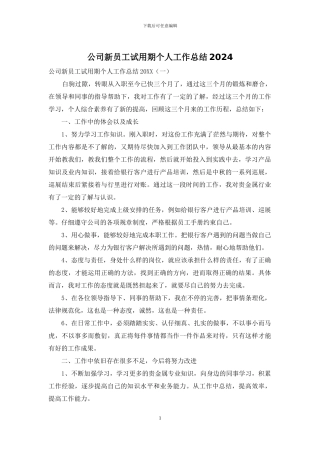 公司新员工试用期个人工作总结2024