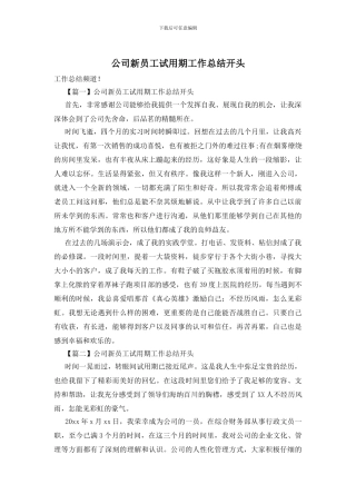 公司新员工试用期工作总结开头