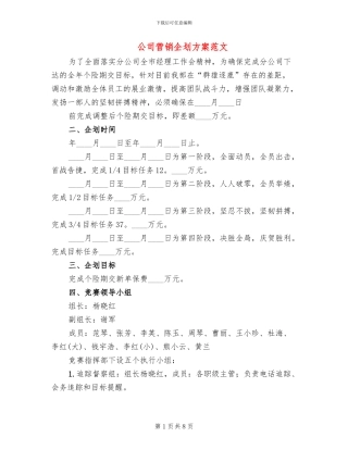 公司营销企划方案范文