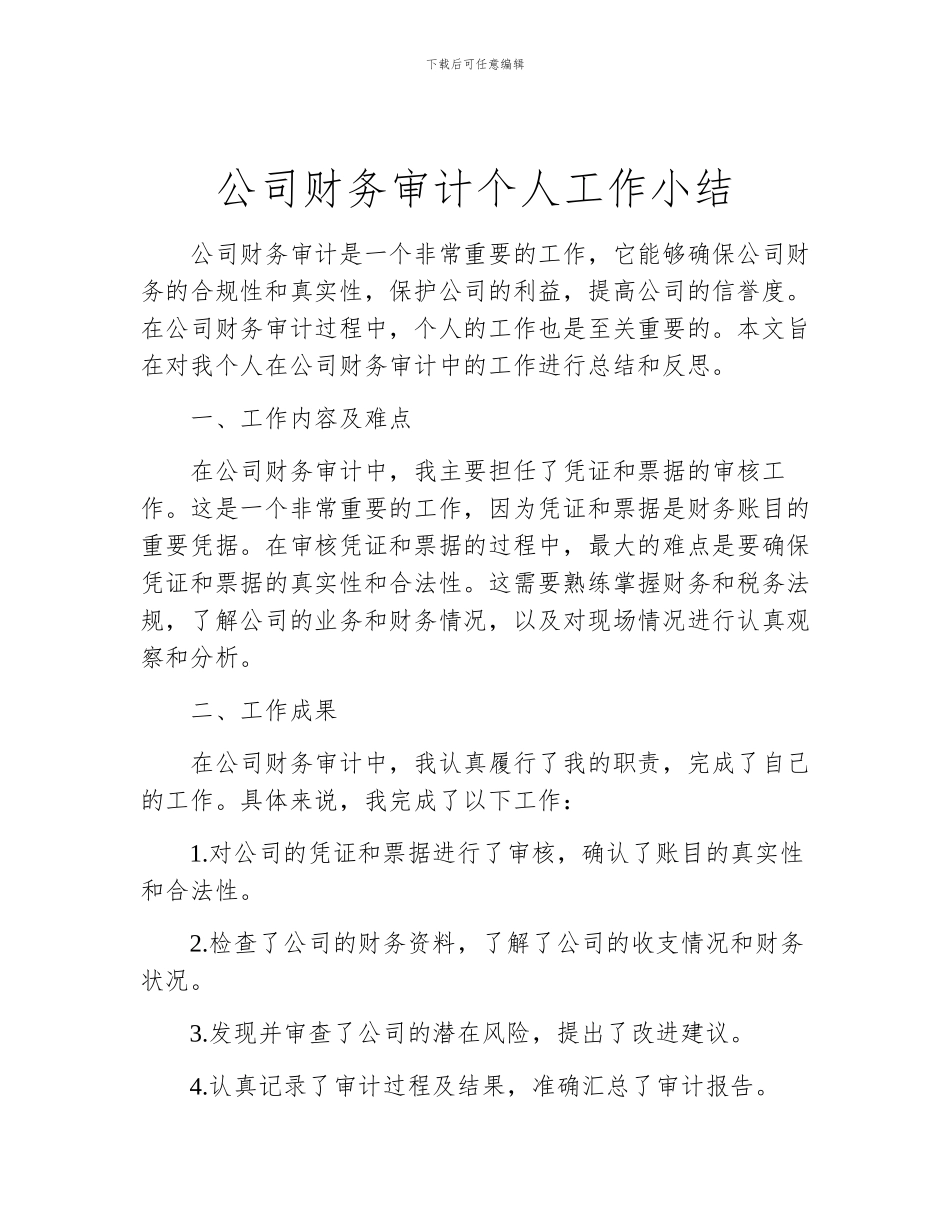 公司财务审计个人工作小结_第1页