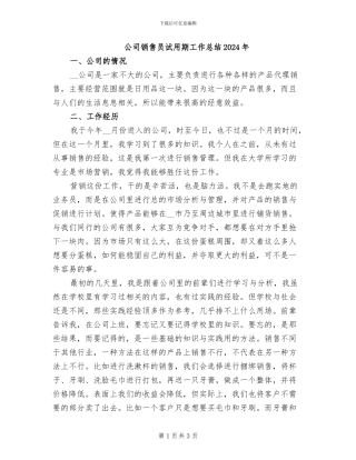 公司销售员试用期工作总结2024年