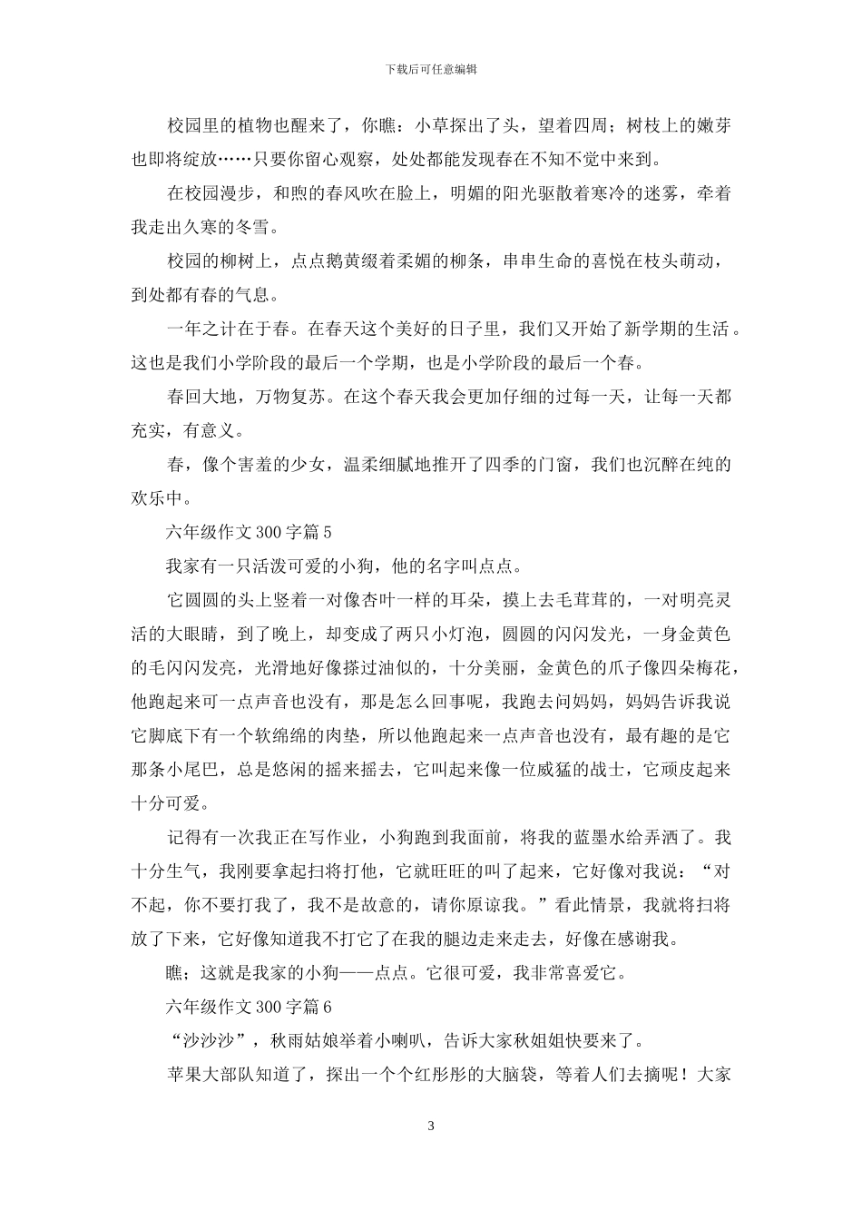 六年级作文300字集合9篇-1_第3页