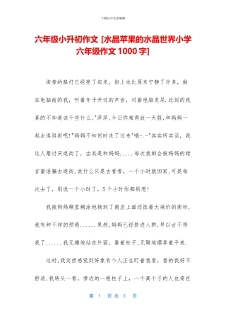 六年级小升初作文-