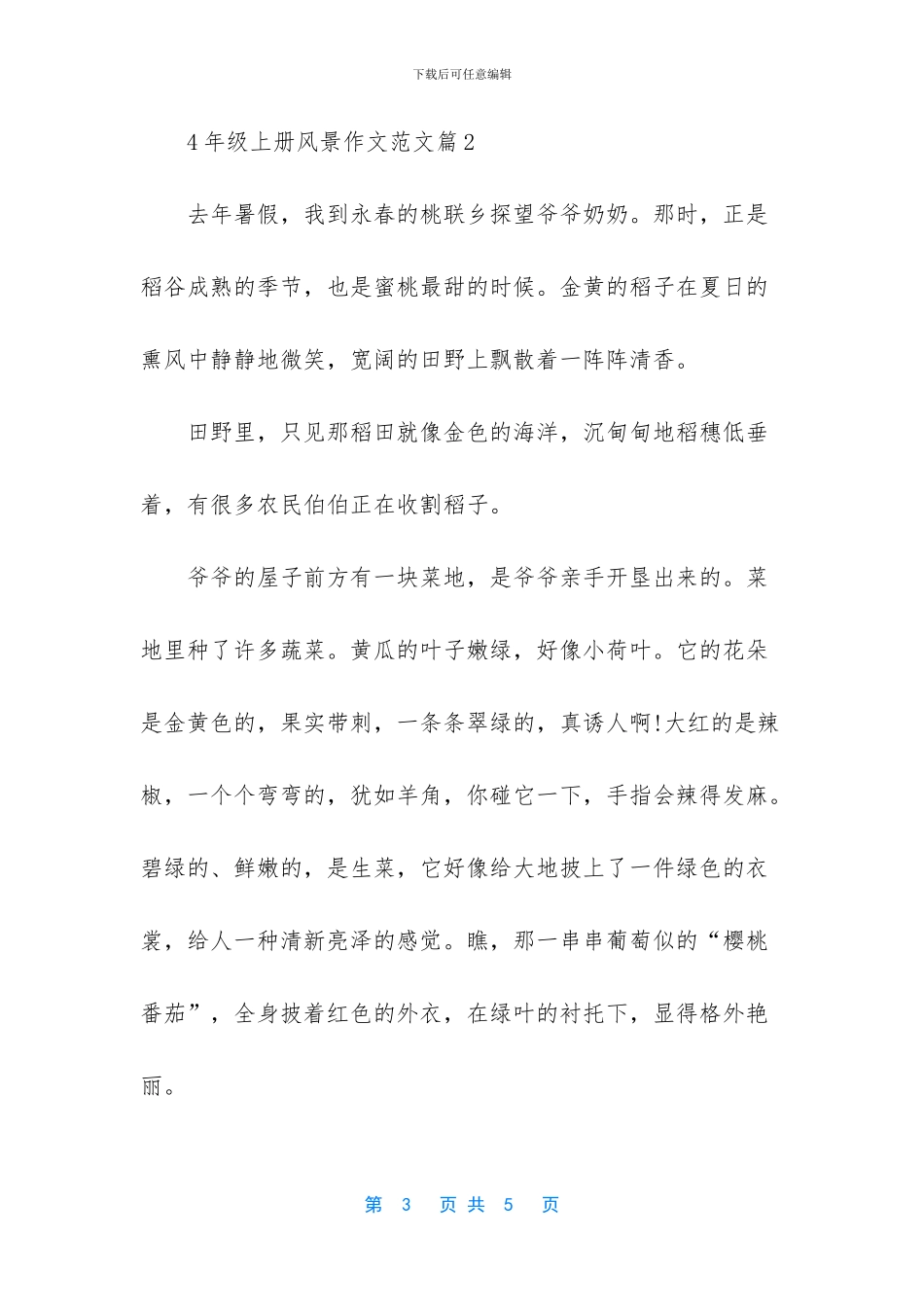 六年级小升初作文范文_第3页