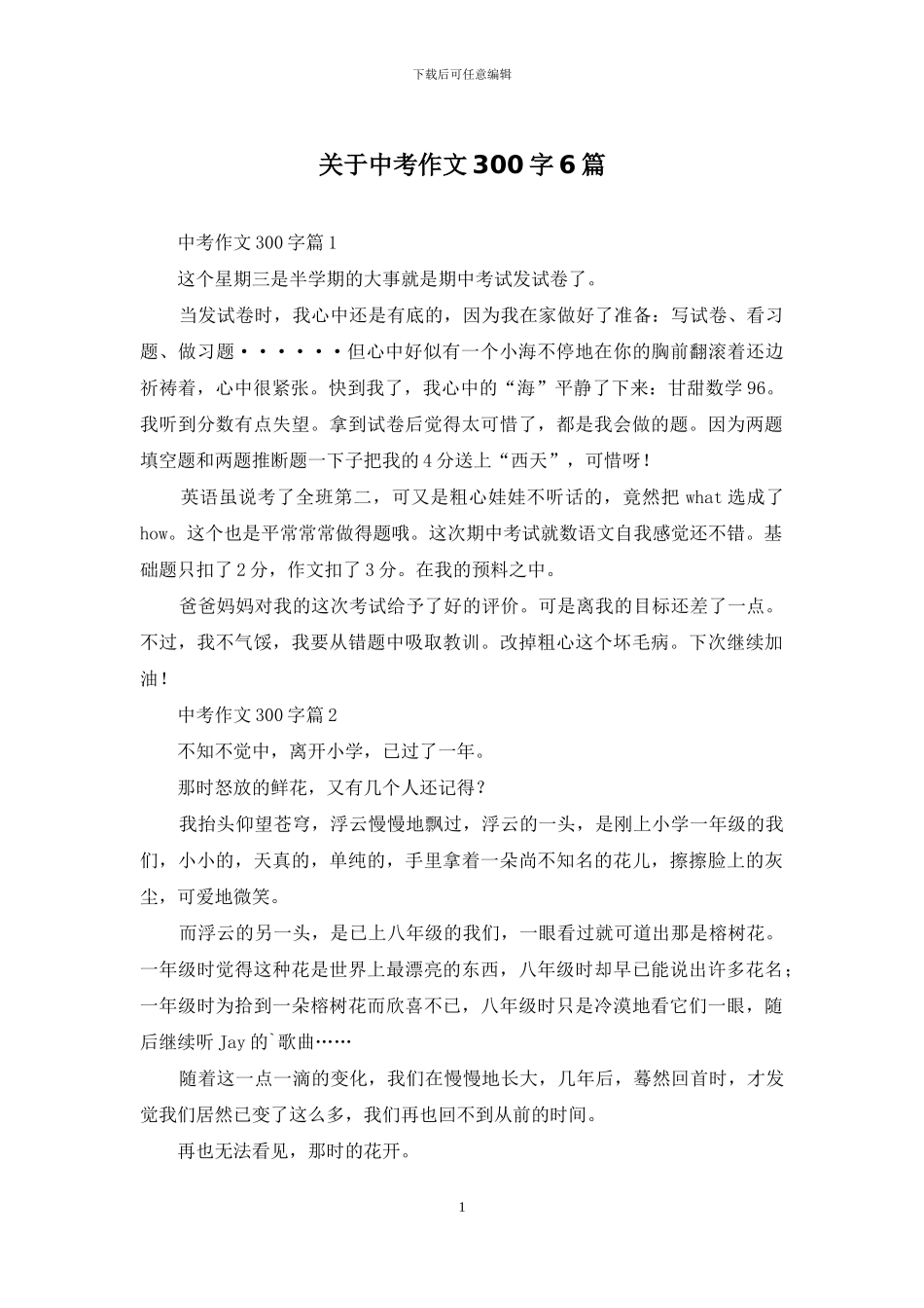 关于中考作文300字6篇_第1页