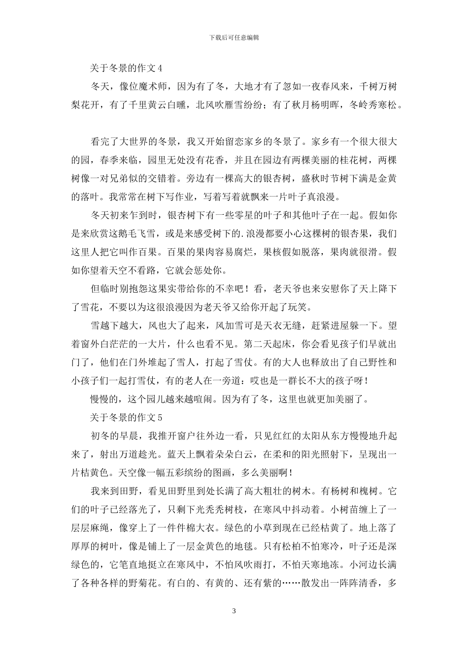 关于冬景的作文15篇_第3页