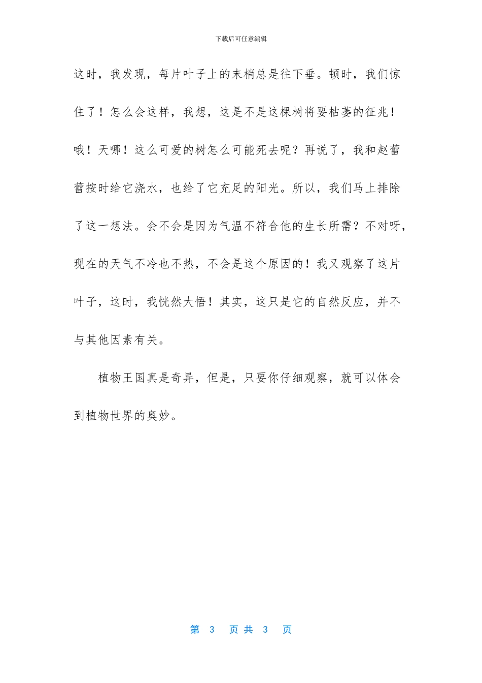 关于发财树的作文_第3页