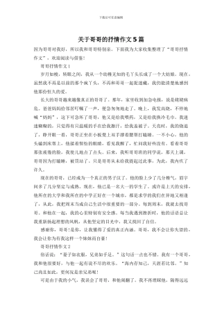 关于哥哥的抒情作文5篇