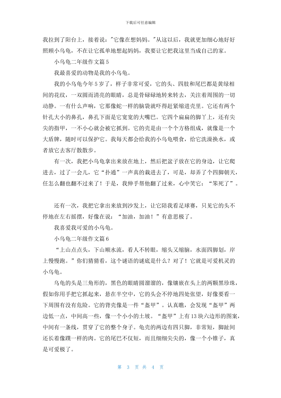 关于小乌龟二年级作文合集6篇_第3页