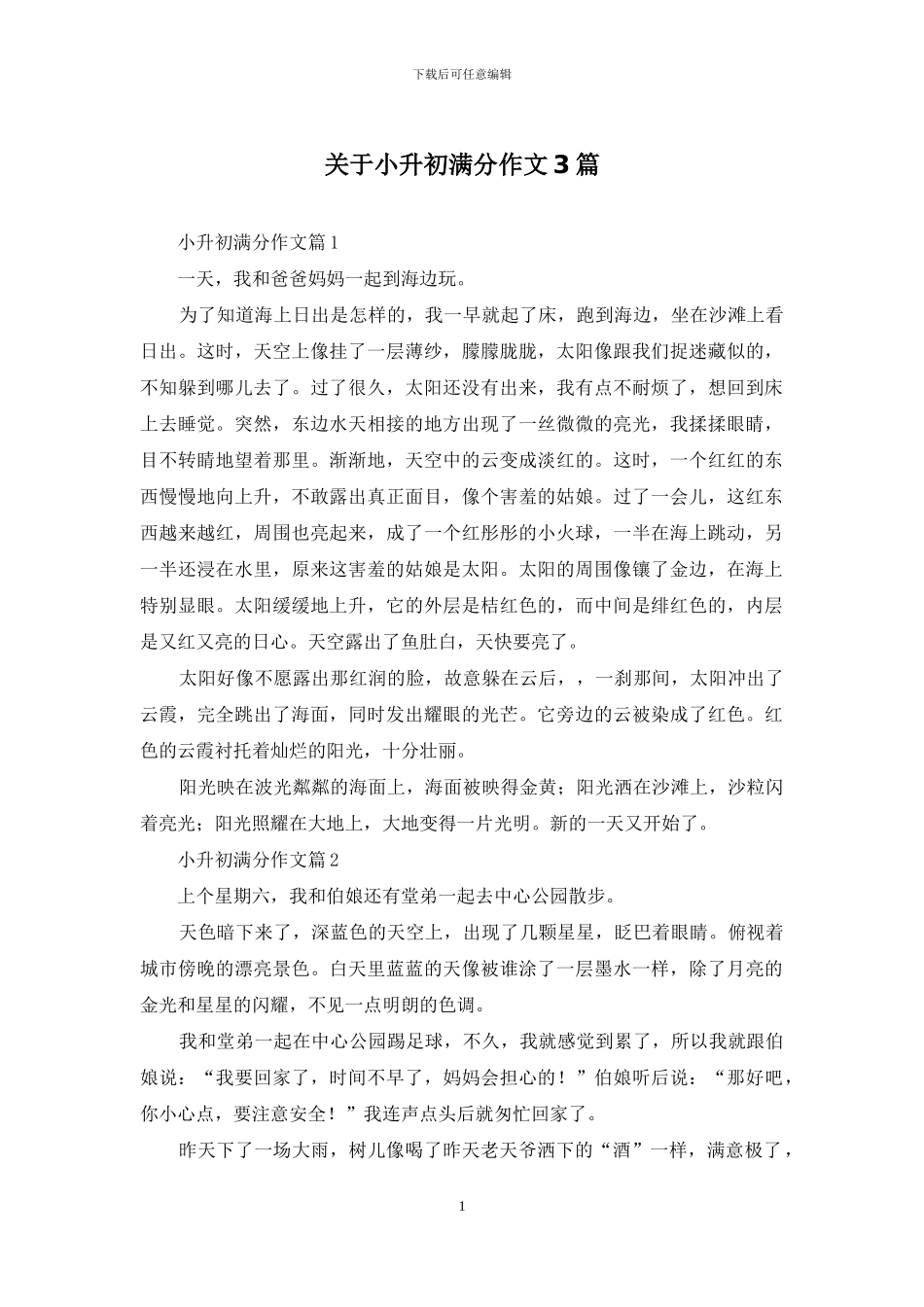 关于小升初满分作文3篇_第1页