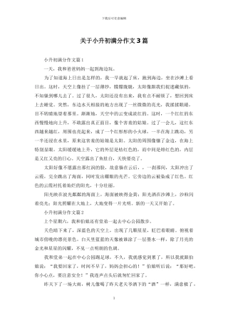 关于小升初满分作文3篇