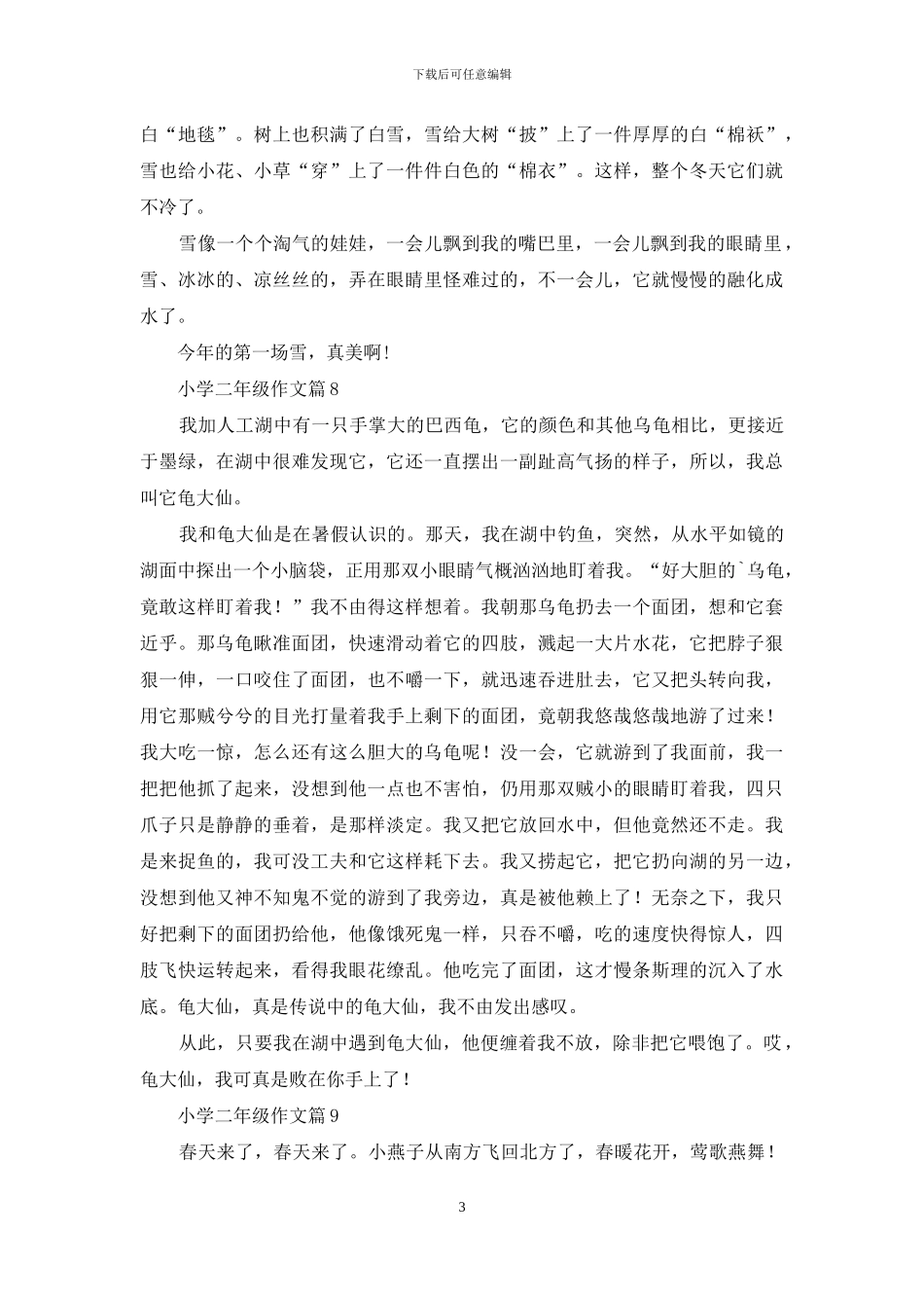 关于小学二年级作文合集九篇_第3页