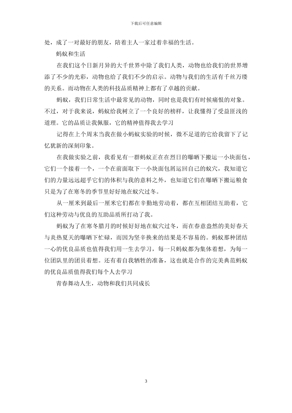 关于小动物的作文_第3页
