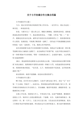 关于小升初满分作文集合四篇