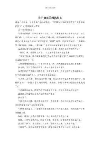 关于弟弟的精选作文