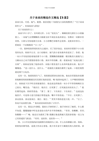 关于弟弟的精选作文精选