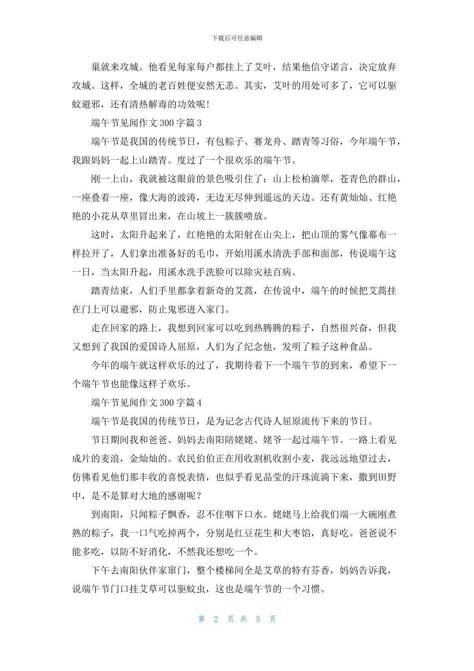 关于端午节见闻作文300字合集10篇_第2页