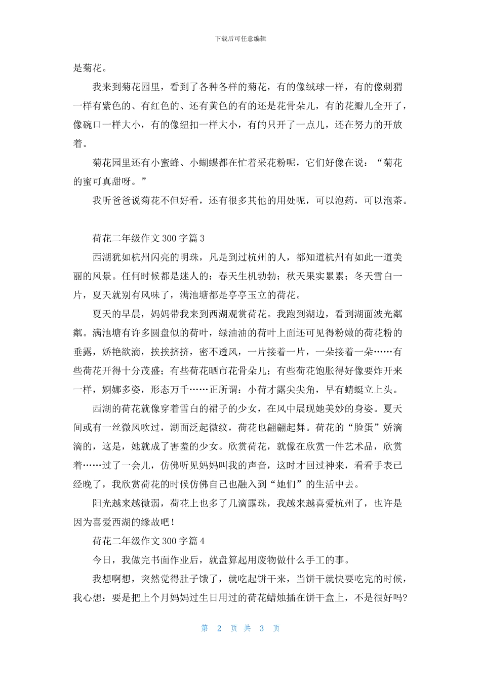 关于荷花二年级作文300字四篇_第2页