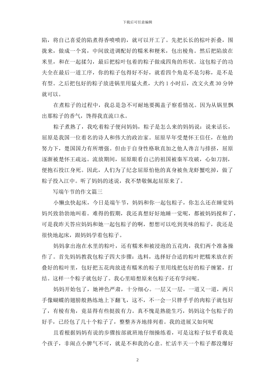 写端午节的作文_第2页