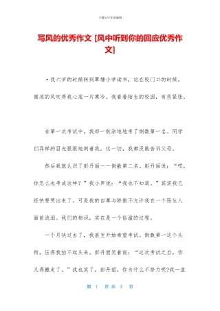 写风的优秀作文-