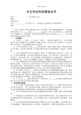 分公司合作协议