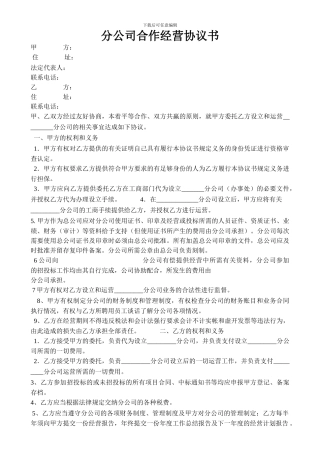 分公司合作协议