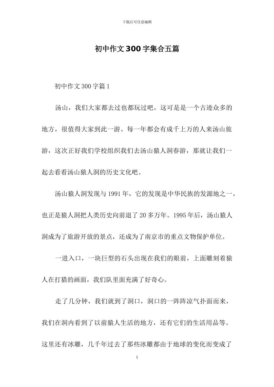 初中作文300字集合五篇_第1页