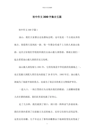 初中作文300字集合五篇