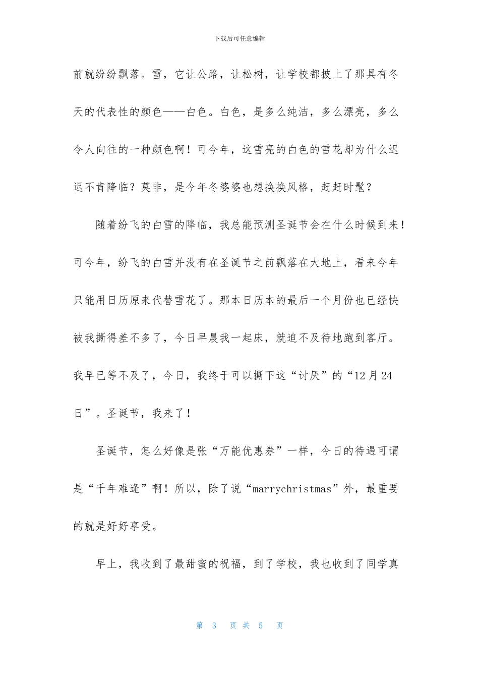 初二圣诞节作文600字三篇_第3页