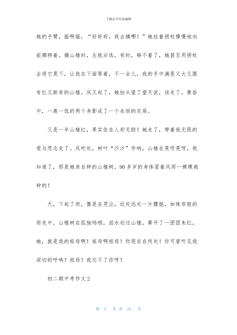 初二期中考作文_第3页