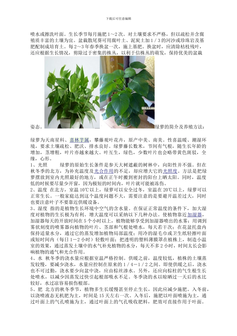 办公室盆栽管理制度_第2页
