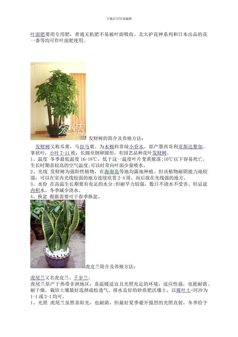 办公室盆栽管理制度_第3页