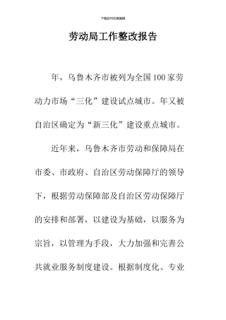 劳动局工作整改报告
