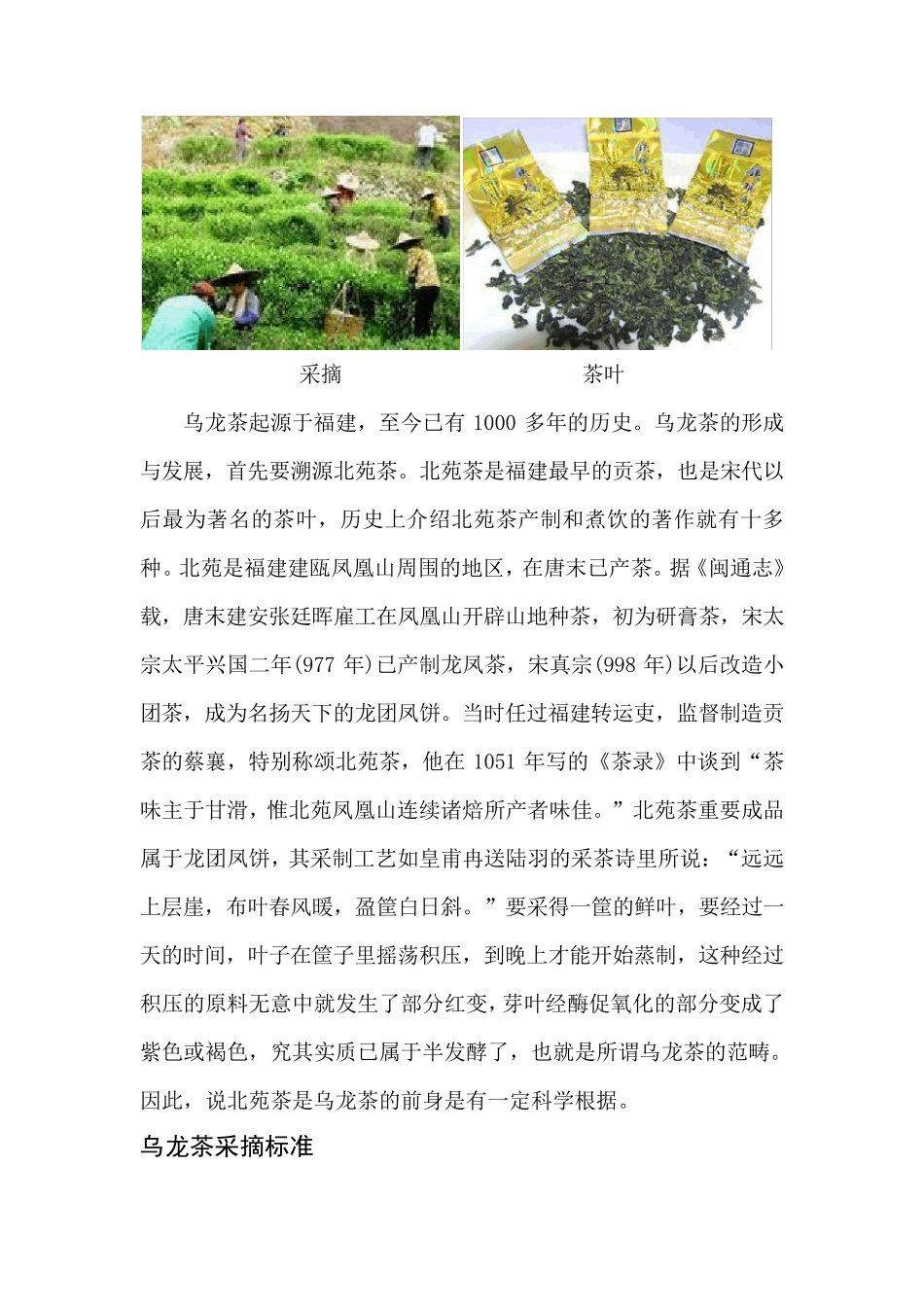 乌龙茶(青茶)知识大全_第3页