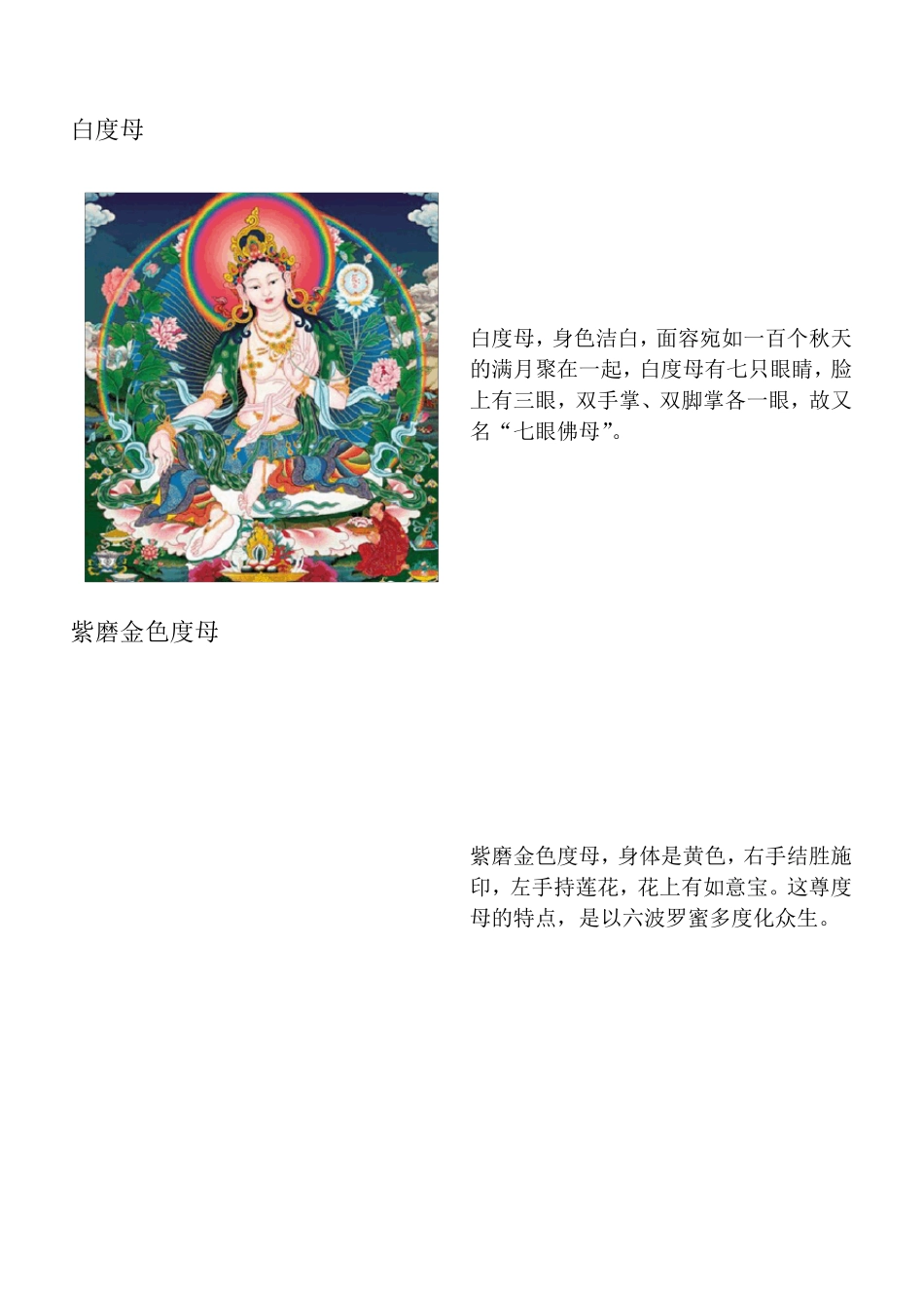 二十一度母像_第2页