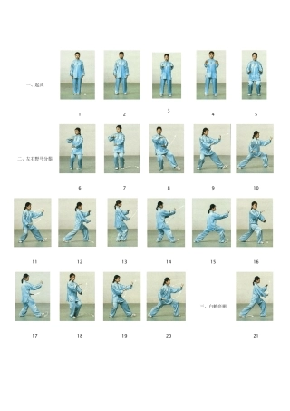 二十四式太极拳图谱