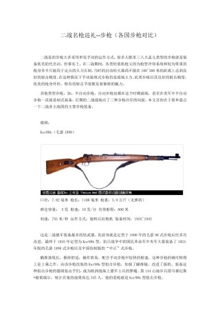 二战名枪巡礼步枪(各国步枪对比)