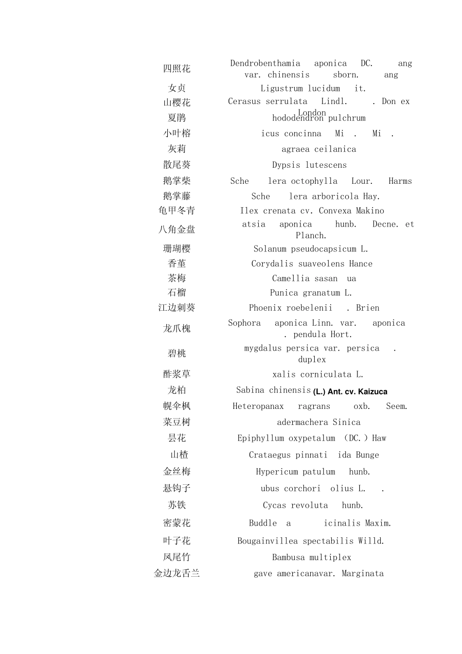 云南常见植物总结表_第2页