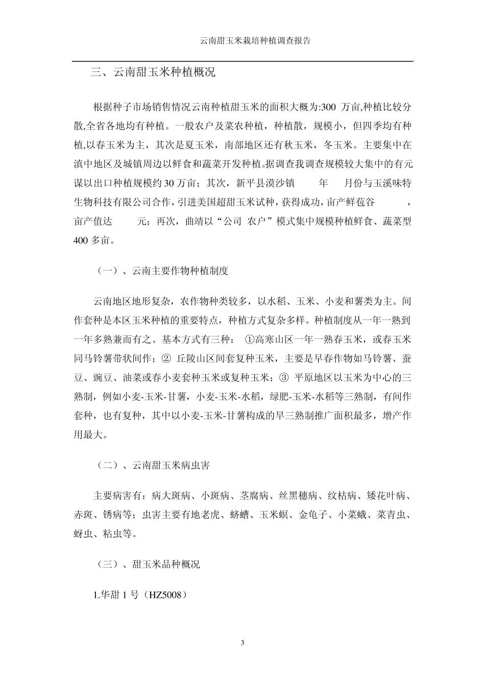 云南甜玉米种植调查报告_第3页