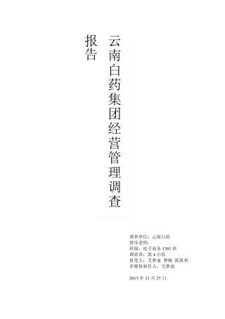 云南白药集团经营管理调查报告