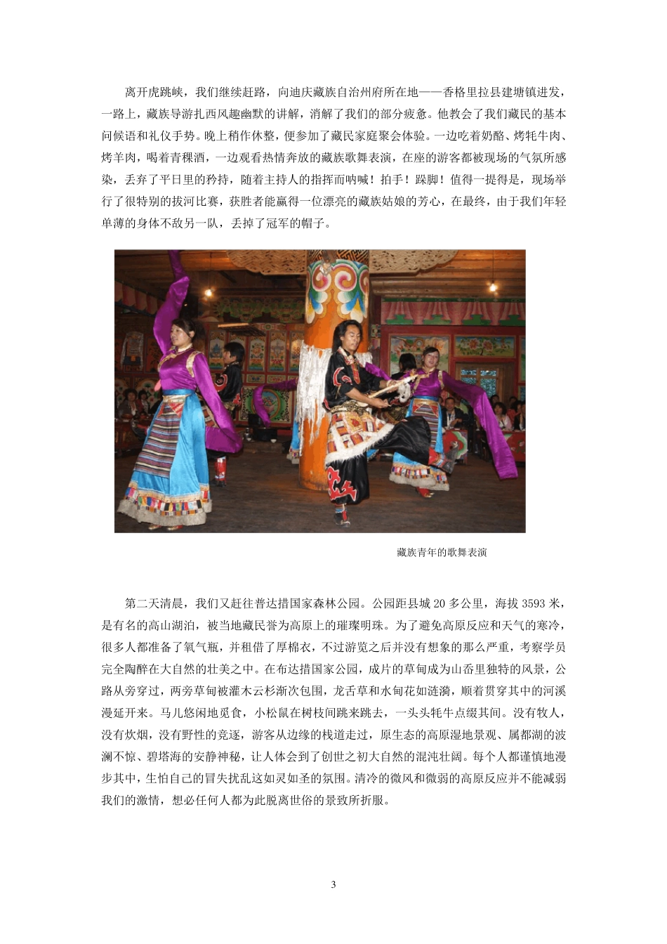 云南艺术考察报告_第3页