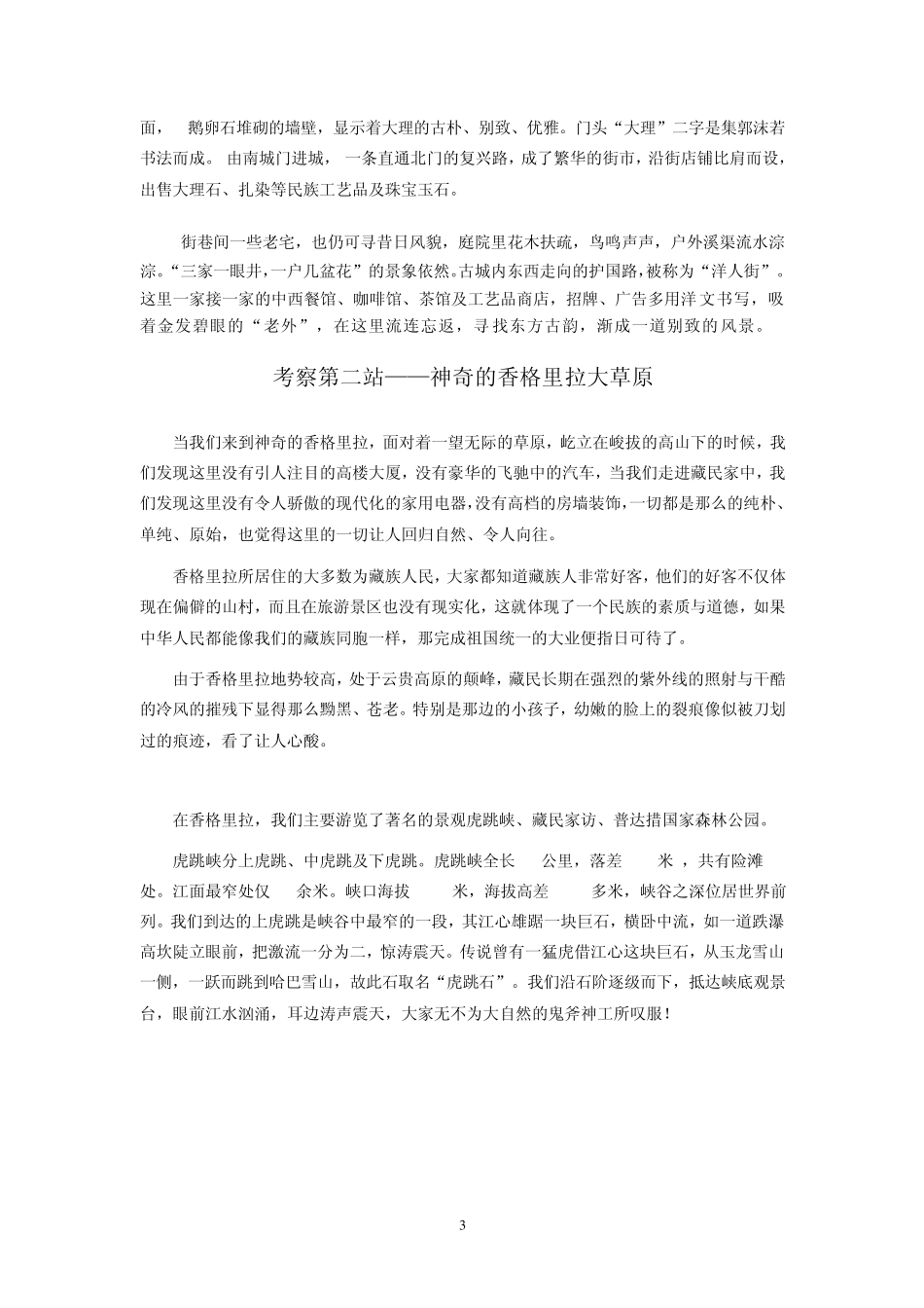 云南艺术考察总结报告_第3页