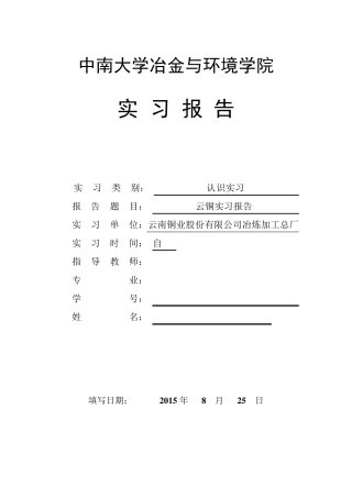 云南铜业实习报告